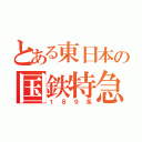 とある東日本の国鉄特急（１８９系）