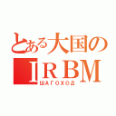 とある大国のＩＲＢＭ（ШАГОХОД）