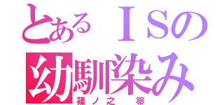 とあるＩＳの幼馴染み（篠ノ之 箒）