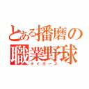 とある播磨の職業野球（タイガース）