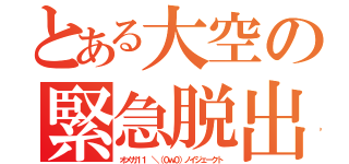 とある大空の緊急脱出（オメガ１１ ＼（０ｗ０）ノイジェークト）