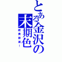 とある金沢の末期色（経費節減！）