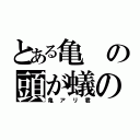 とある亀の頭が蟻の（亀アリ君）