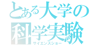 とある大学の科学実験（サイエンスショー）