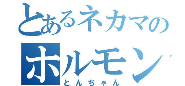 とあるネカマのホルモン屋（とんちゃん）