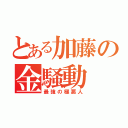 とある加藤の金騒動（最強の極悪人）