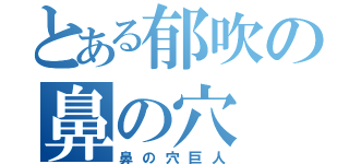 とある郁吹の鼻の穴（鼻の穴巨人）