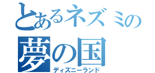 とあるネズミの夢の国（ディズニーランド）