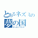 とあるネズミの夢の国（ディズニーランド）