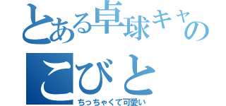 とある卓球キャプテンのこびと（ちっちゃくて可愛い）