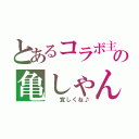 とあるコラボ主の亀しゃん（  宜しくね♪）