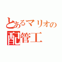 とあるマリオの配管工（）