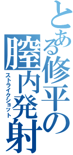 とある修平の膣内発射（ストライクショット）