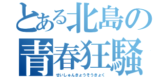 とある北島の青春狂騒曲（せいしゅんきょうそうきょく）