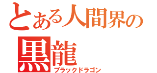 とある人間界の黒龍（ブラックドラゴン）