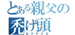 とある親父の禿げ頭（セツナイネ）