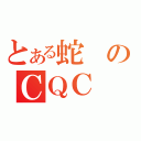 とある蛇のＣＱＣ（）