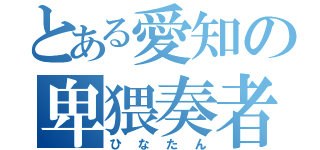 とある愛知の卑猥奏者（ひなたん）