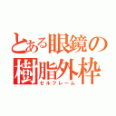 とある眼鏡の樹脂外枠（セルフレーム）