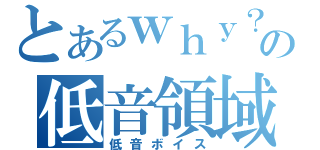 とあるｗｈｙ？の低音領域（低音ボイス）