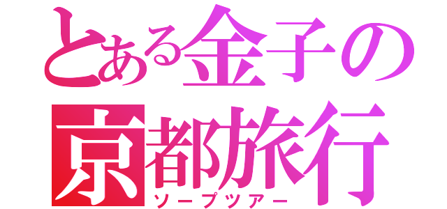 とある金子の京都旅行（ソープツアー）