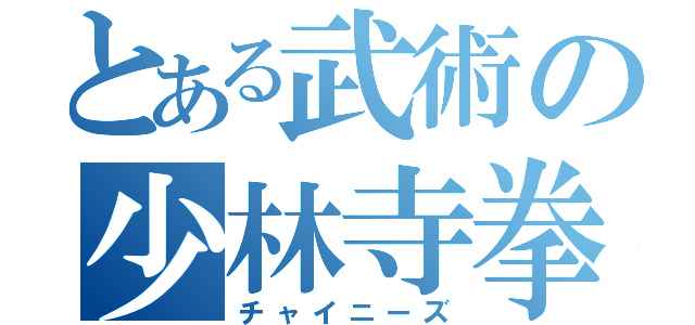 とある武術の少林寺拳法（チャイニーズ）