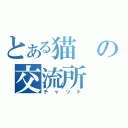 とある猫の交流所（チャット）