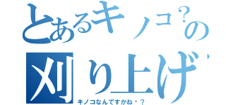 とあるキノコ？の刈り上げ（キノコなんですかね〜？）