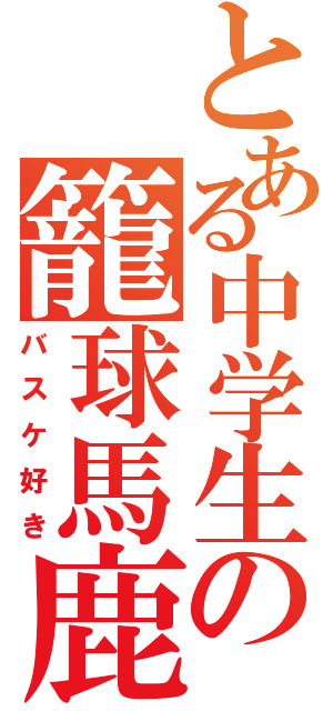 とある中学生の籠球馬鹿（バスケ好き）