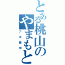 とある桃山のやまもと軍団（アホ集団）