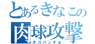 とあるきなこの肉球攻撃（ネコパンチ★）