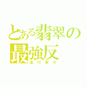 とある翡翠の最強反（金川智大）