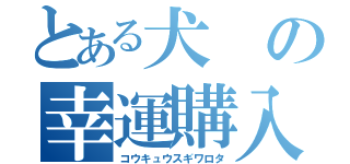 とある犬の幸運購入（コウキュウスギワロタ）