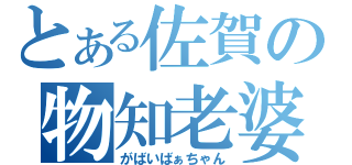 とある佐賀の物知老婆（がばいばぁちゃん）