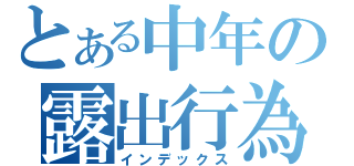 とある中年の露出行為（インデックス）