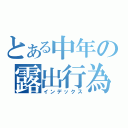 とある中年の露出行為（インデックス）