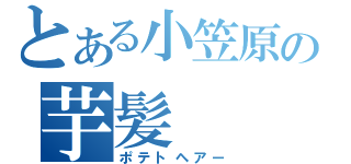 とある小笠原の芋髪（ポテトヘアー）