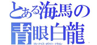 とある海馬の青眼白龍（ブルーアイズ・ホワイト・ドラゴン）