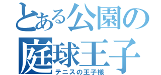 とある公園の庭球王子（テニスの王子様）