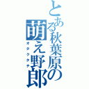 とある秋葉原の萌え野郎（オタクタチ）