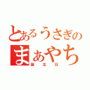 とあるうさぎのまぁやちゃんの（誕生日）