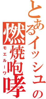 とあるイッシュの燃焼咆哮（モエルーワ）