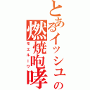 とあるイッシュの燃焼咆哮（モエルーワ）