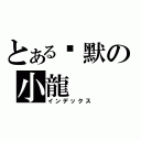 とある沉默の小龍（インデックス）