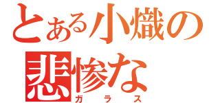 とある小熾の悲惨な（ガラス）