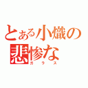 とある小熾の悲惨な（ガラス）