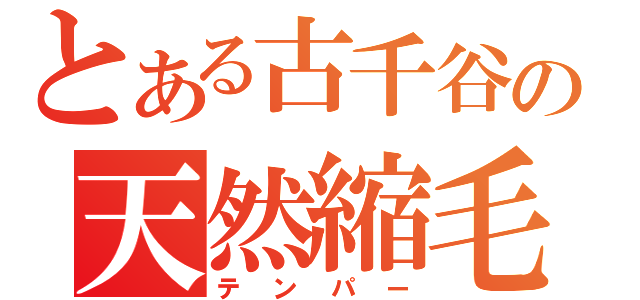 とある古千谷の天然縮毛（テンパー）