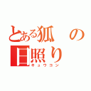 とある狐の日照り（キュウコン）