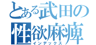 とある武田の性欲麻痺（インデックス）