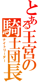 とある王宮の騎士団長（ナイトリーダー）